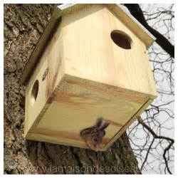 constructeur maison ecureuil