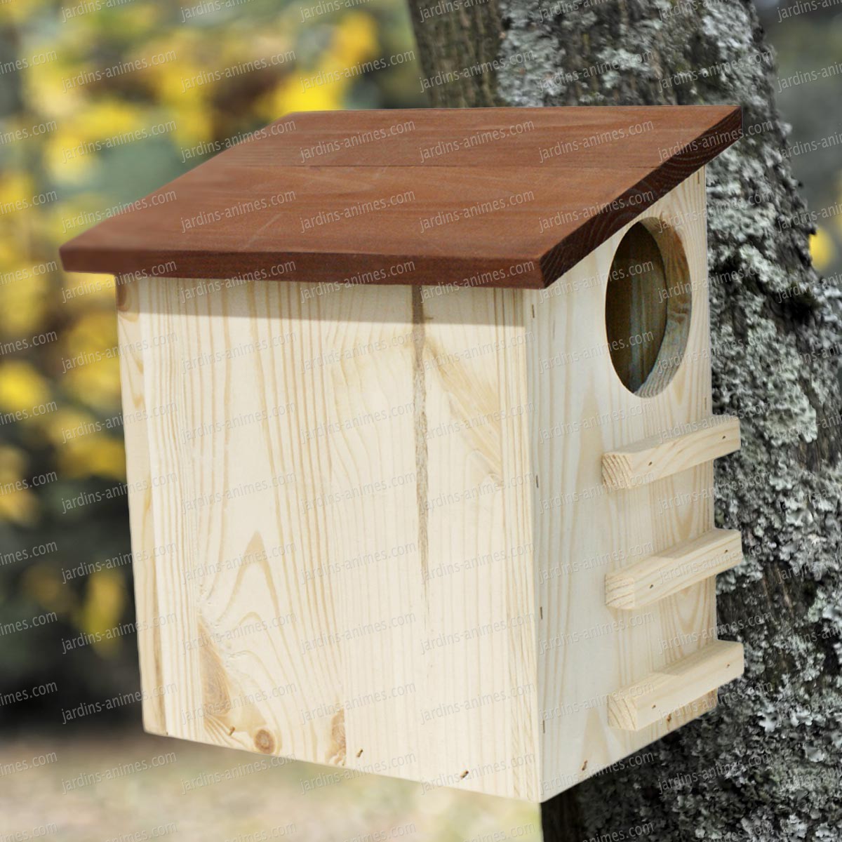 constructeur maison ecureuil