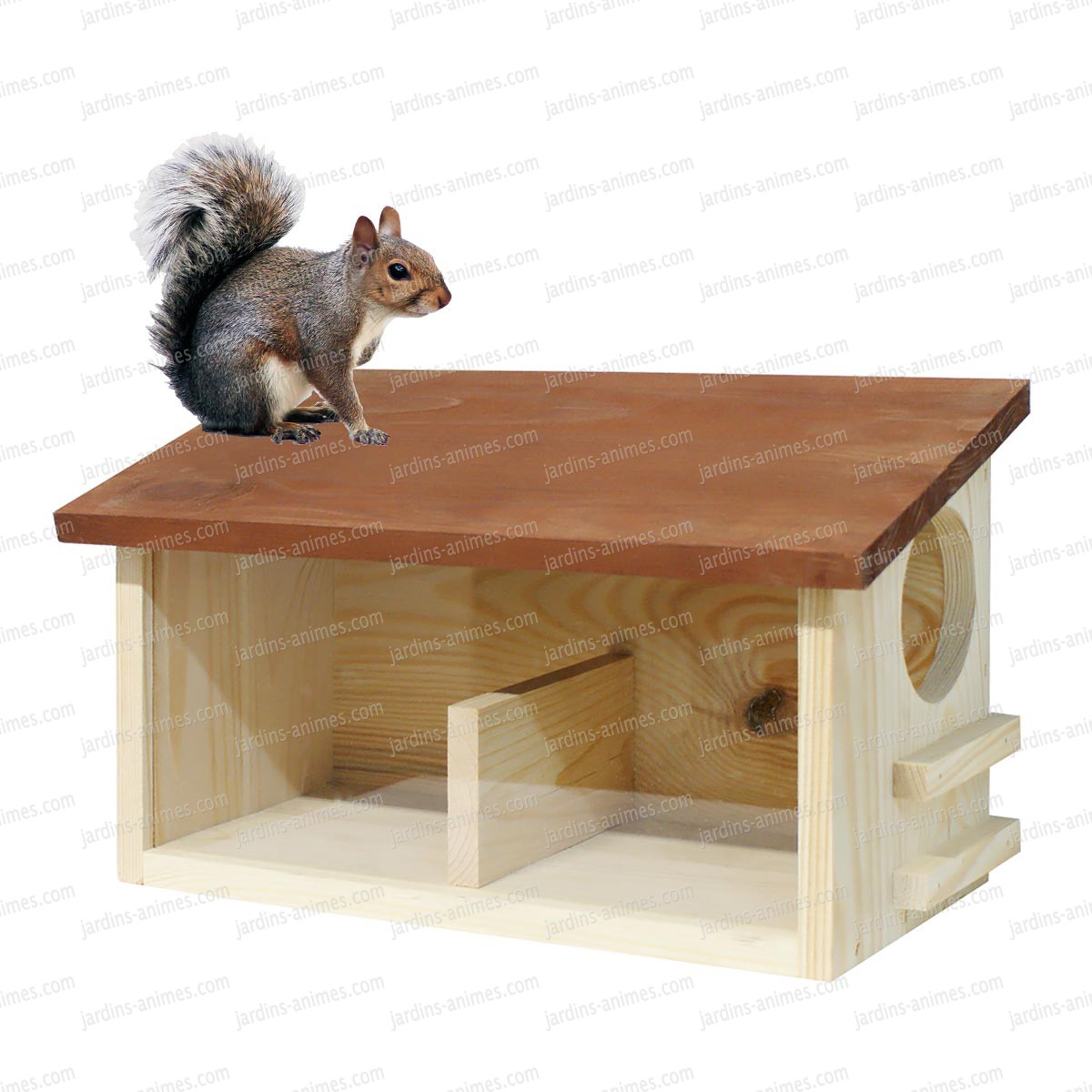 constructeur maison ecureuil